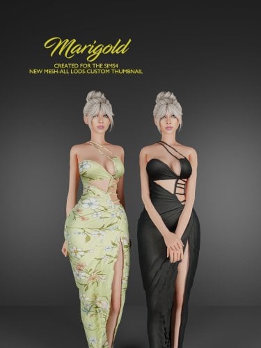 More information about "MARIGOLD TS4 SOFIA LONG DRESS"