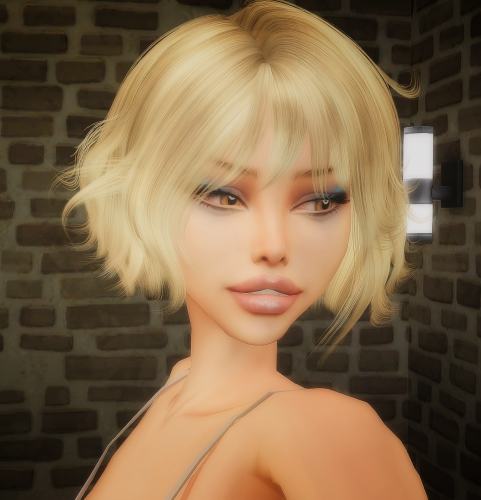 More information about "JeSIM_f1"