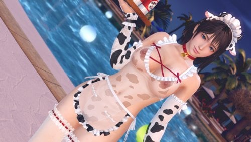 More information about "SSR Momo Apron (Common)"