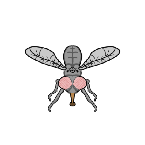More information about "NurseryFly 2.0"