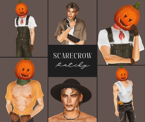More information about "｡☆ﾟPatchy The Strawman｡☆ﾟ"