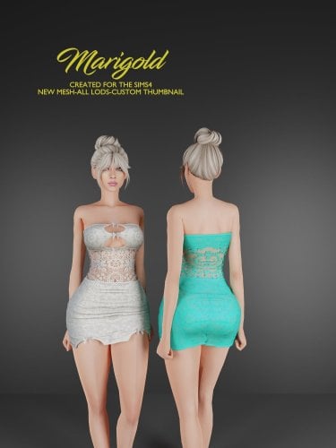 More information about "MARIGOLD TS4_LISA"