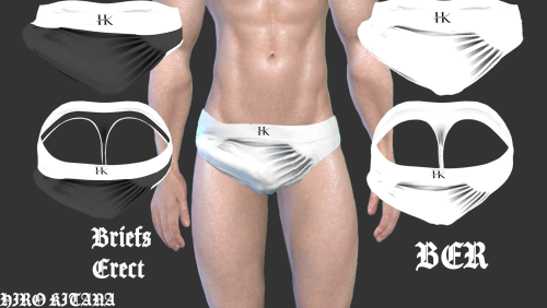 More information about "BER - Briefs Erect - Early Acces"