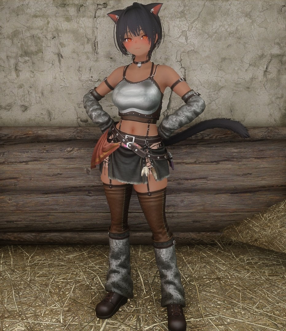 Cat Rogue Armor 3BA