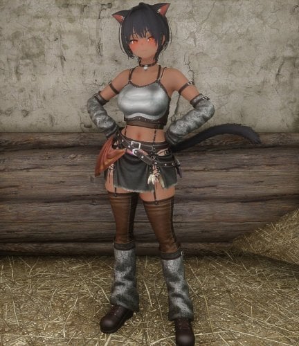 More information about "Cat Rogue Armor 3BA"