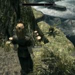 More information about "Failure Mode Effects Analysis in Skyrim (FMEA)"