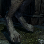 More information about "Bad Dog's Compleat Khajiit"