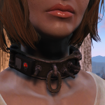 More information about "Not-at-all-kinky Slave Collar and Manacles"