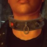 More information about "Slave Collar new model"
