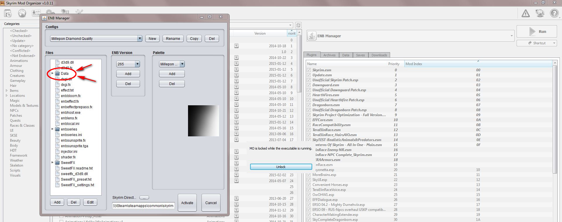 Mod Organizer and RealVision ENB Skyrim Technical Support LoversLab