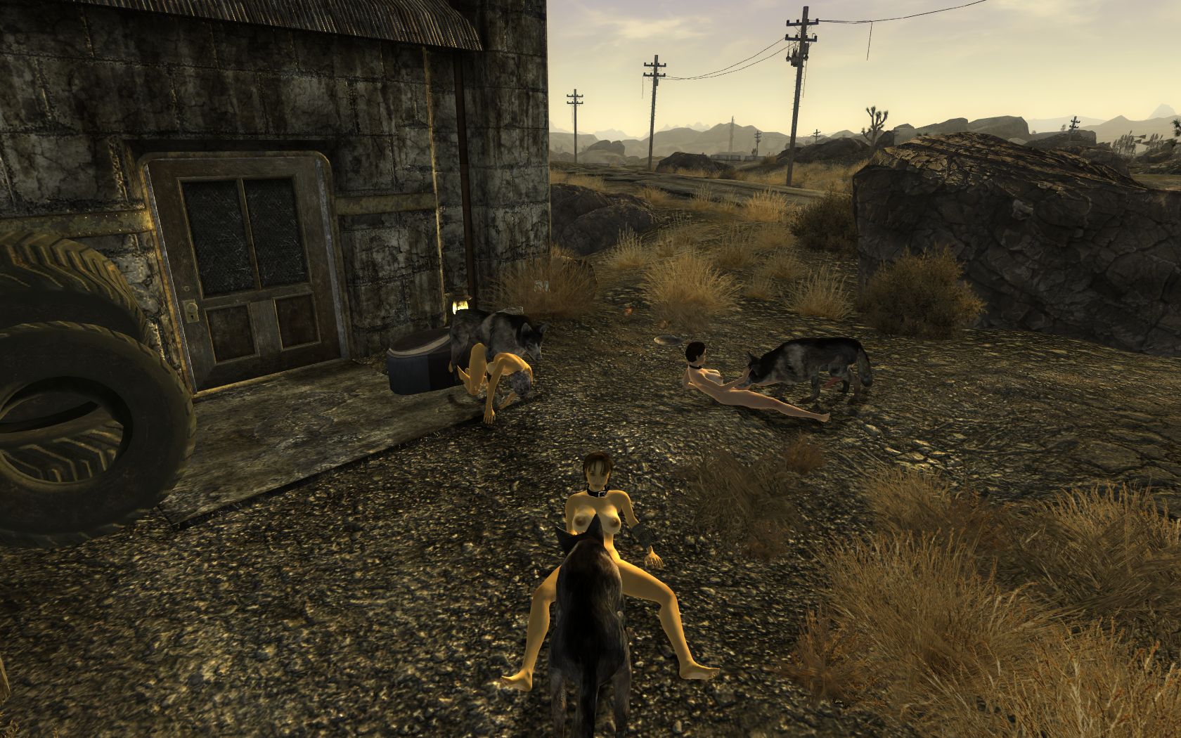 Fallout new vegas sexout 4 фото 40