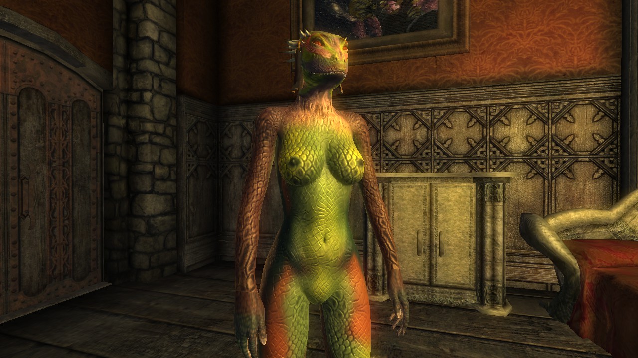 I didn't like how female Argonians didn't have tits in the defaul...