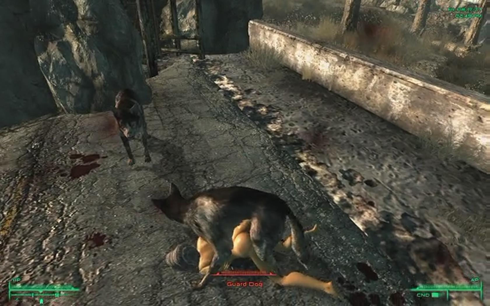 Fallout 4 dog porn фото 68