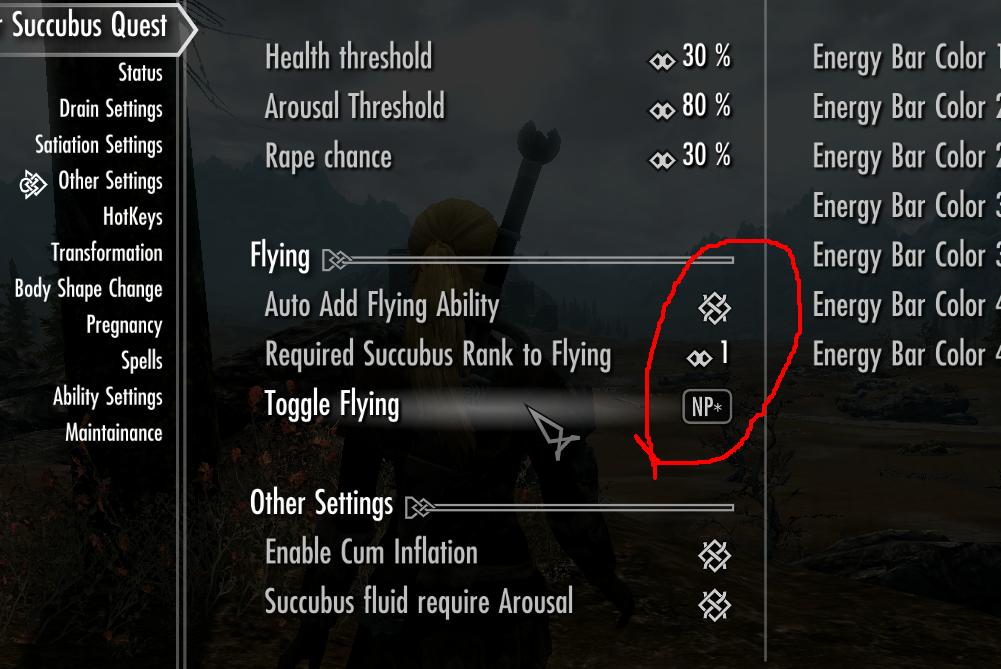 What are the controls to make fly? 