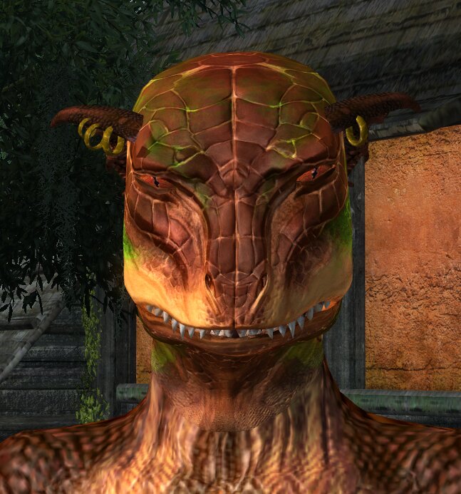 Argonian textures. Аргониане обливион. Аргонианин tes4. Tes Oblivion аргониане. Аргонианин вампир обливион.