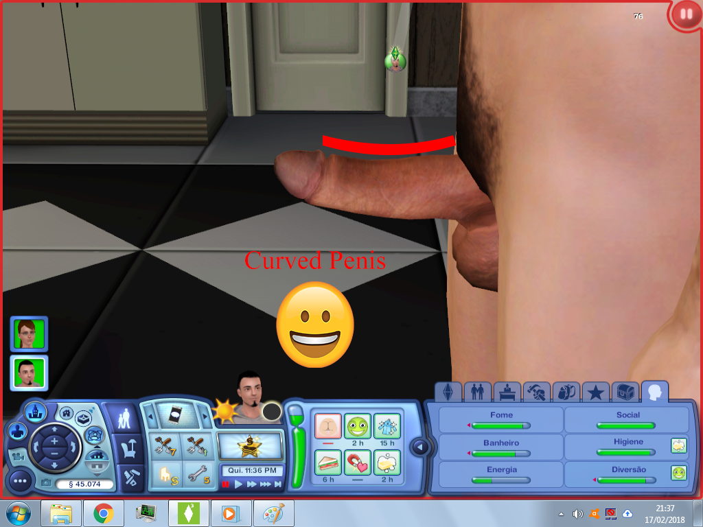 Sims3