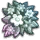 5aaeaddf66094_whim_wildflowers2d649c46d20d0f27.png.02479519a050ac667ed64c86590a5bbf.png