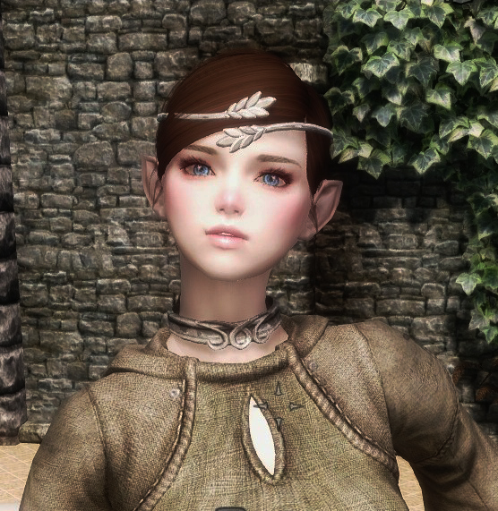 What Follower Should I Make Next Skyrim Non Adult Mods Loverslab