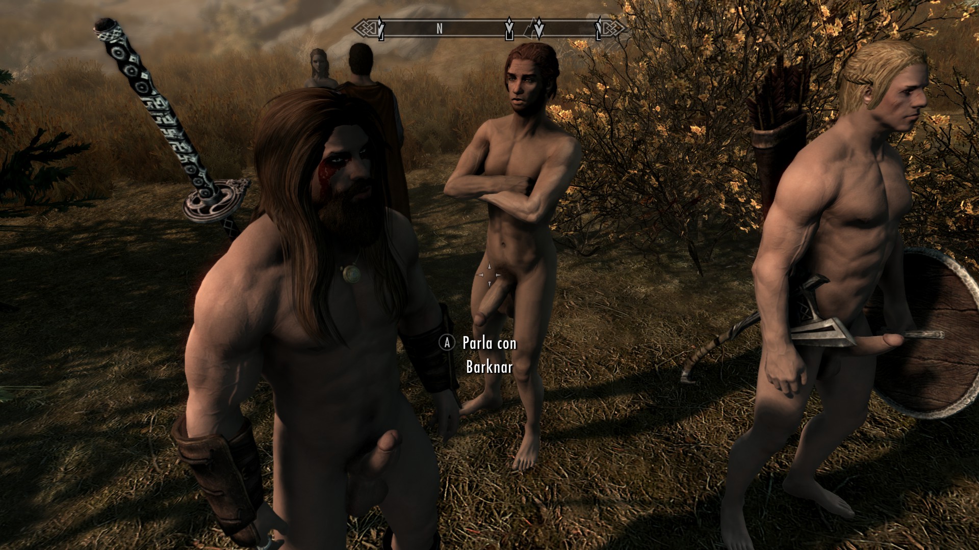 Skyrim penis mod