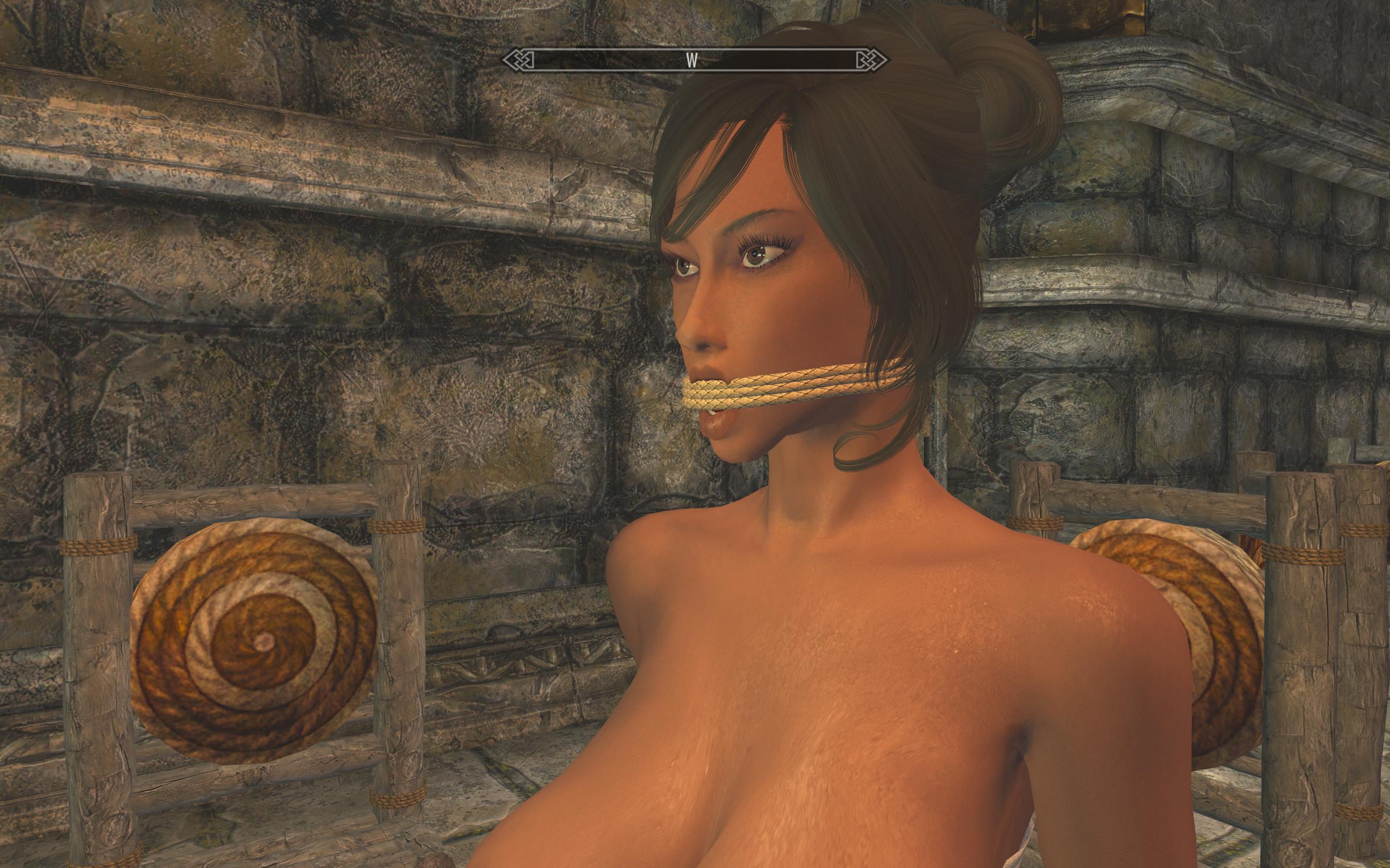 Zaz Animation Pack V80 Plus Page 17 Downloads Skyrim Adult And Sex 4310