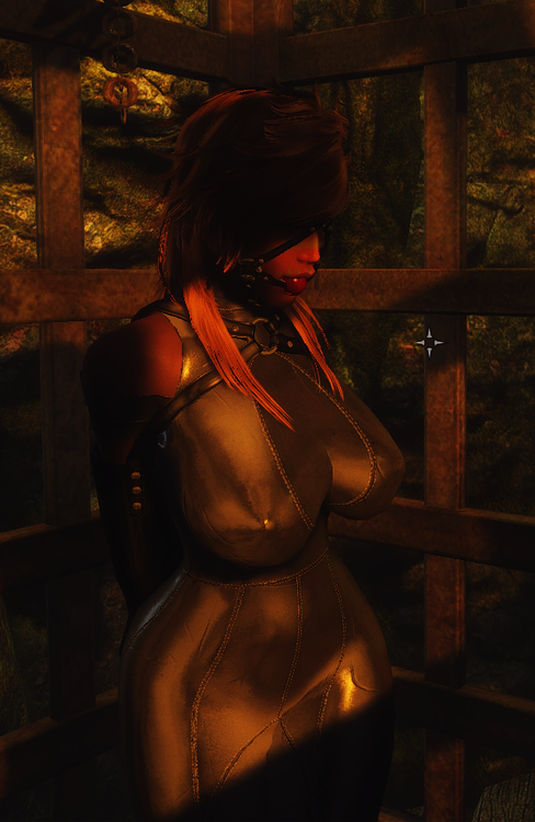 Skyrim Beginnings.png