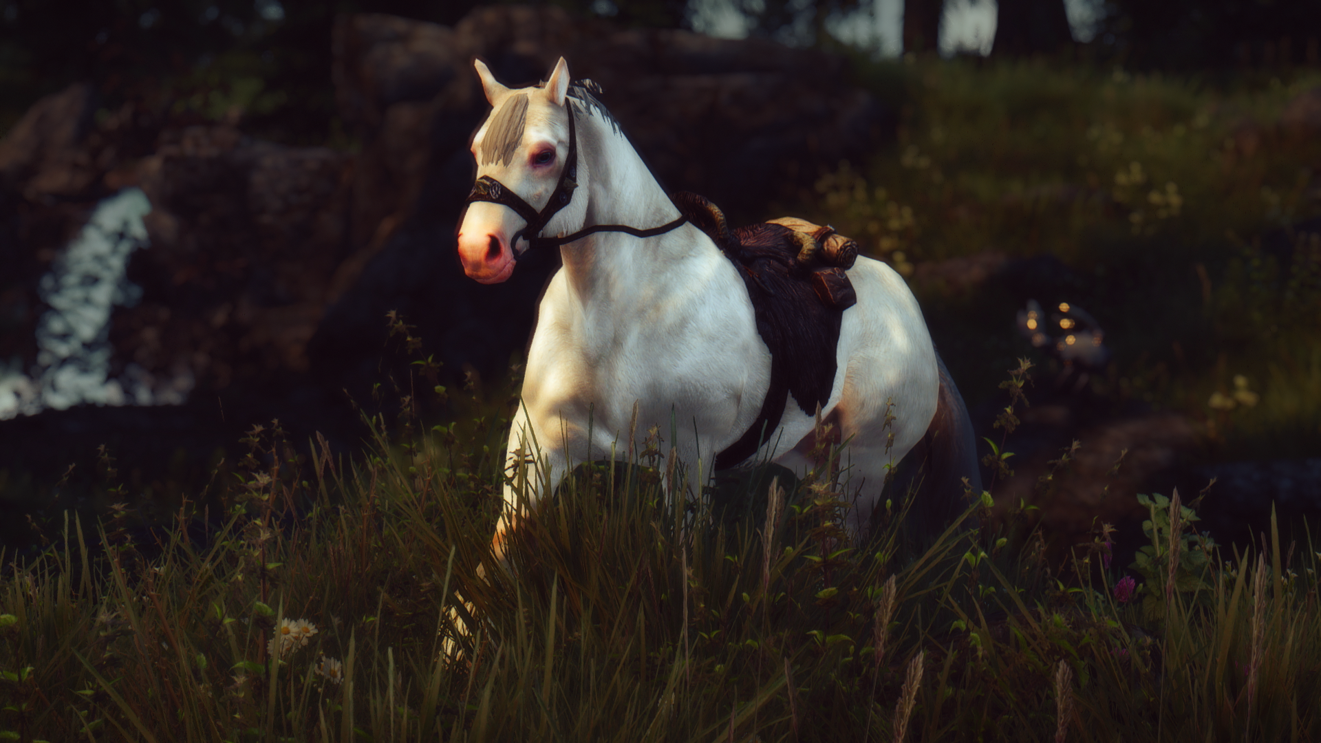This beautiful horse - Request & Find - Skyrim Non Adult Mods - LoversLab