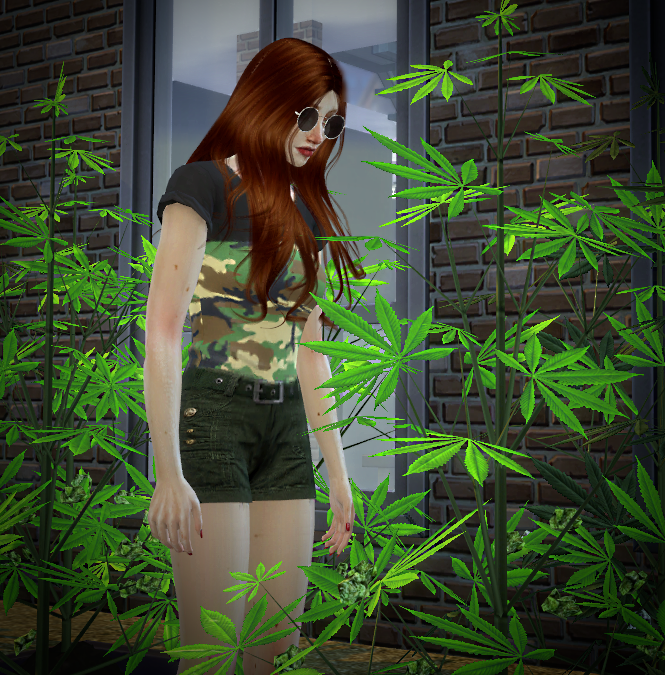 Basemental Drugs Sims 4 Fake Id