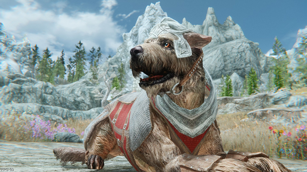 where can you buy a dog in skyrim