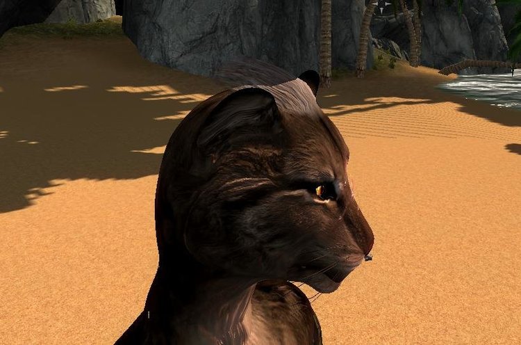 enb 2018_06_20 09_13_52_81.jpg