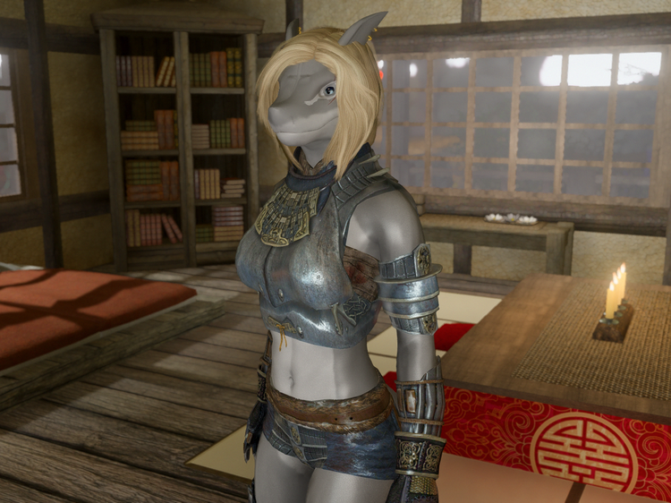 Armor_Fixed_Female.png