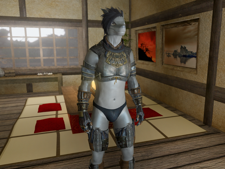 Armor_Fixed_Male_Pants.png