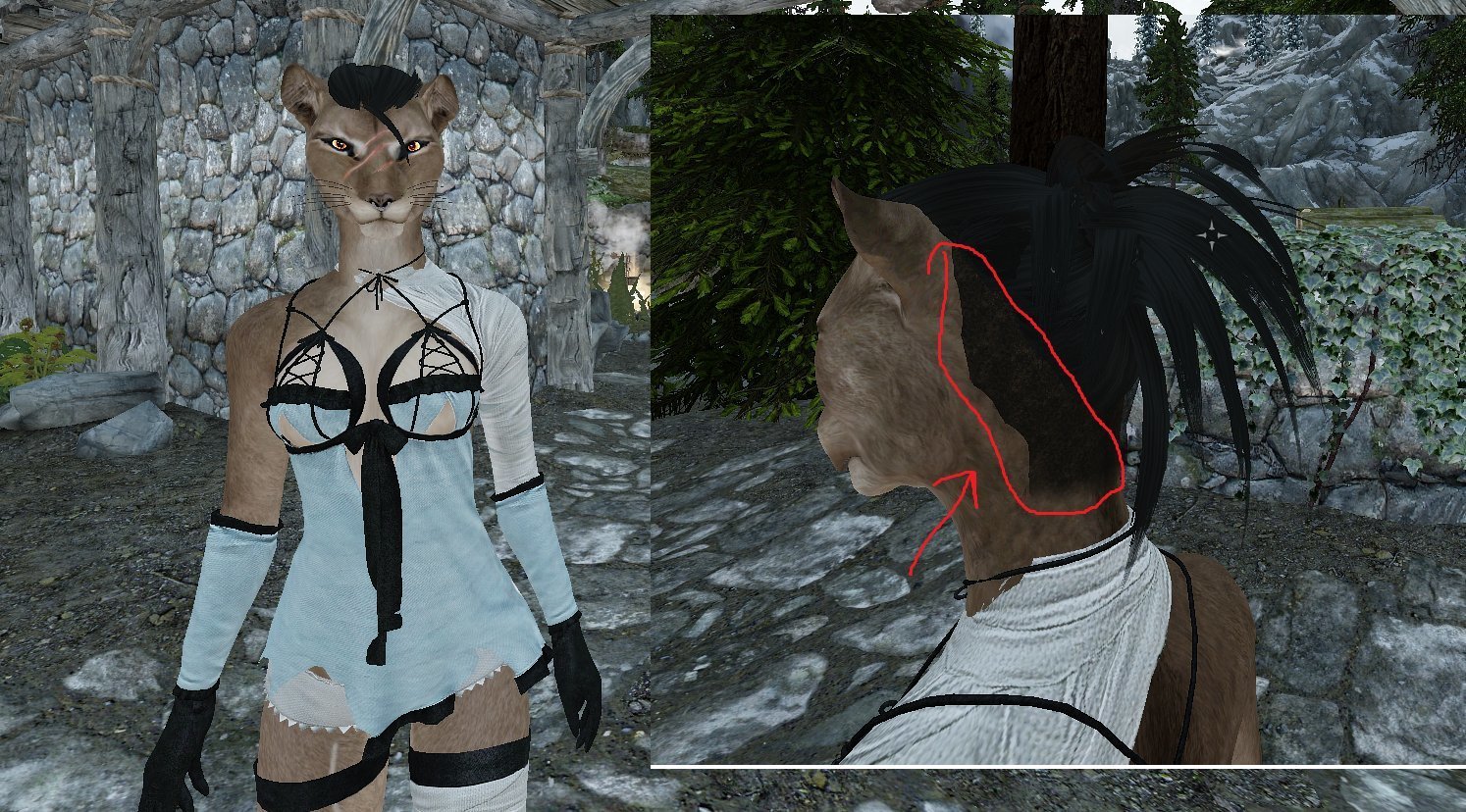 Khajiit Conversions Downloads Skyrim Non Adult Mods Loverslab