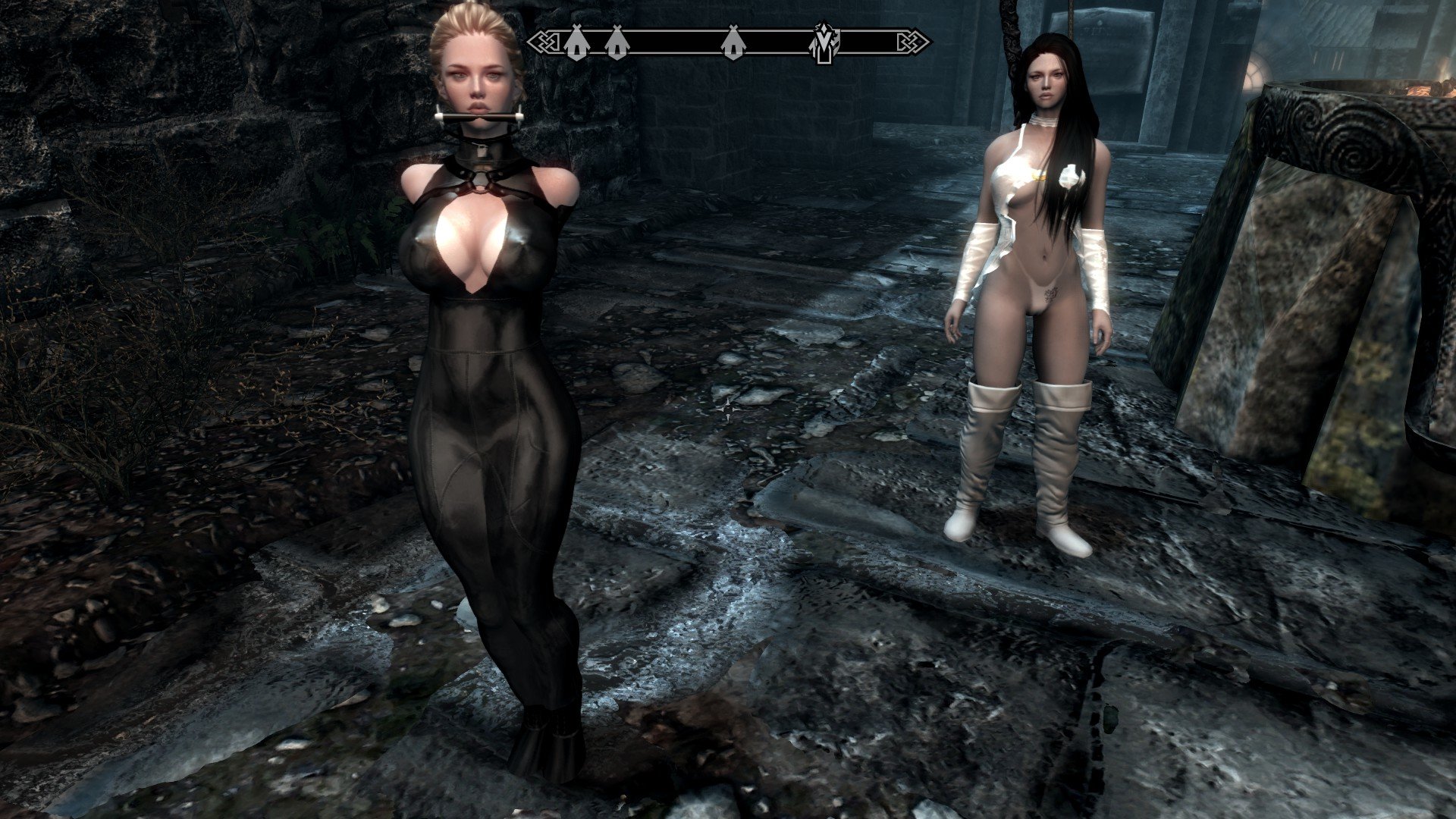 Solved] Everybody´s T-posing - Technical Support - Skyrim: Special Edition  - LoversLab