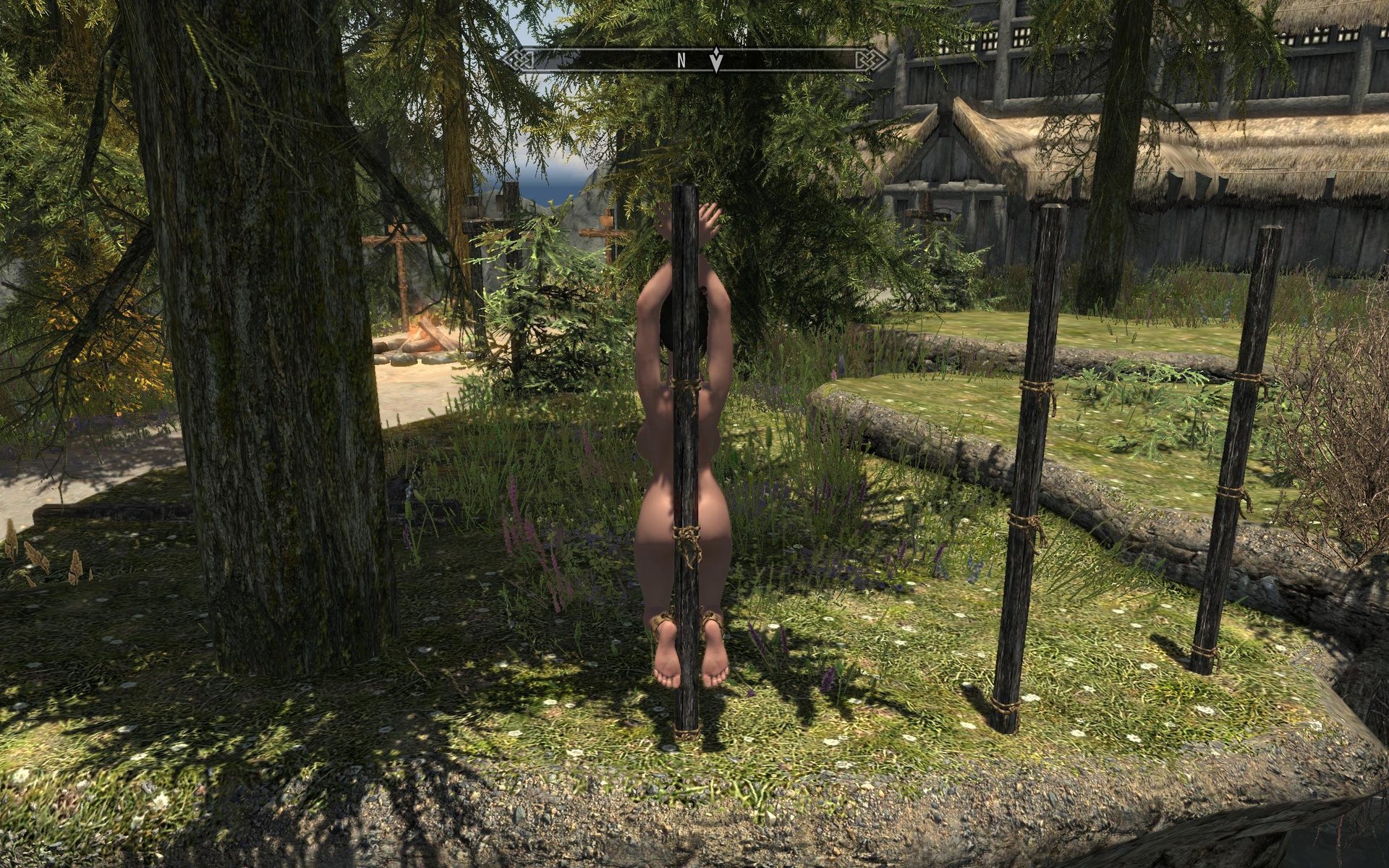 Zaz Animation Pack V80 Plus Page 72 Downloads Skyrim Adult And Sex 4444