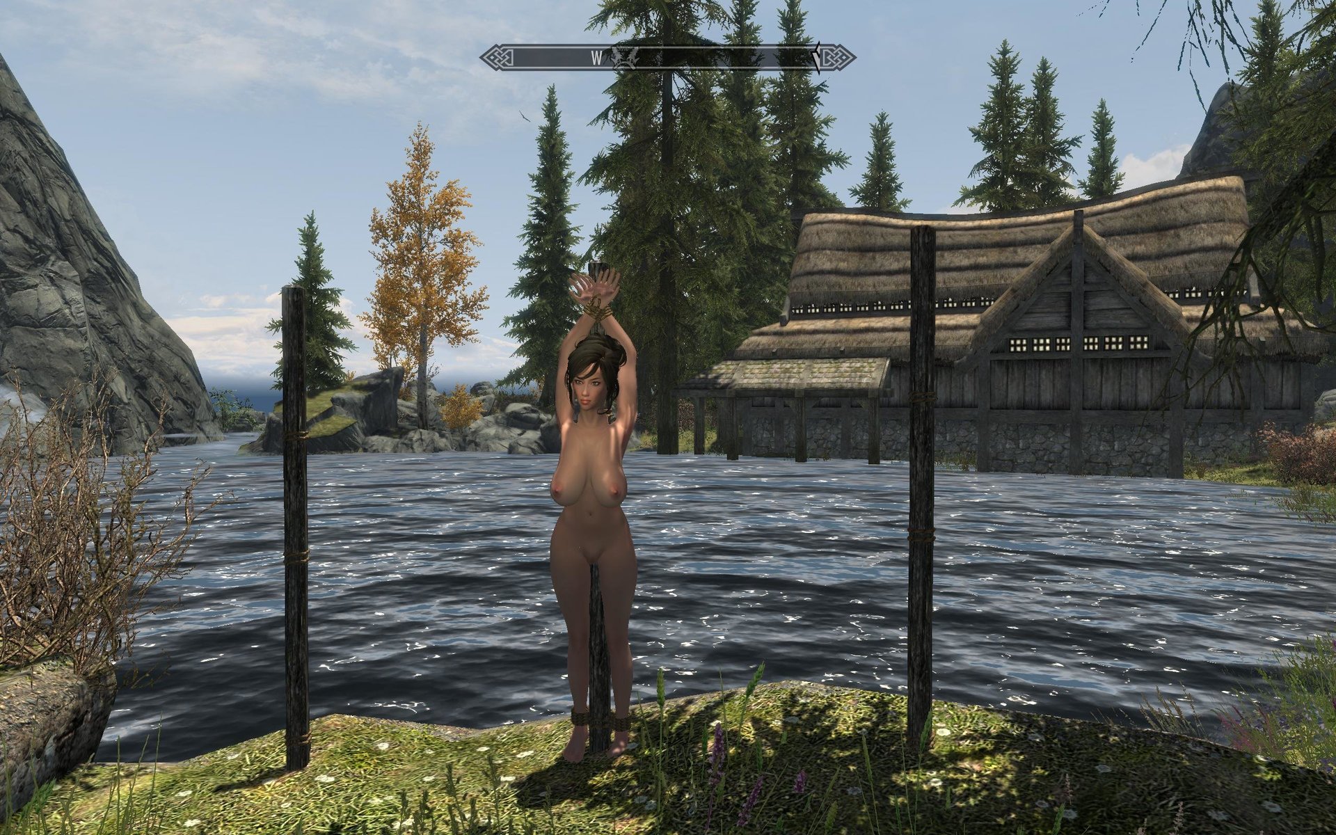 Zaz Animation Pack V80 Plus Page 72 Downloads Skyrim Adult And Sex 4046