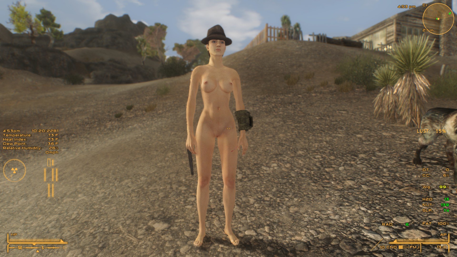 What Female Body Mod Is This Request And Find Fallout