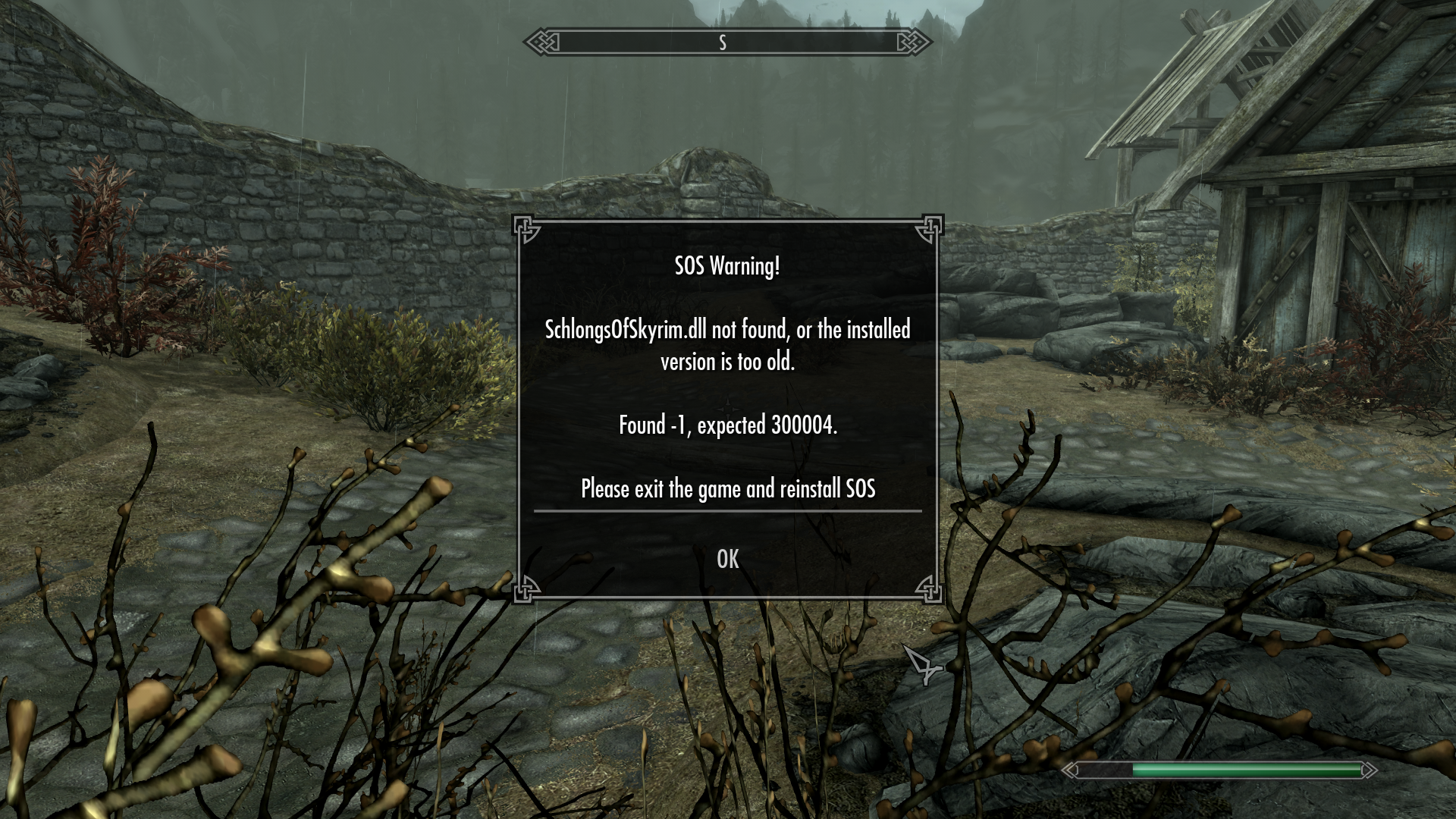 Schlongs of skyrim se