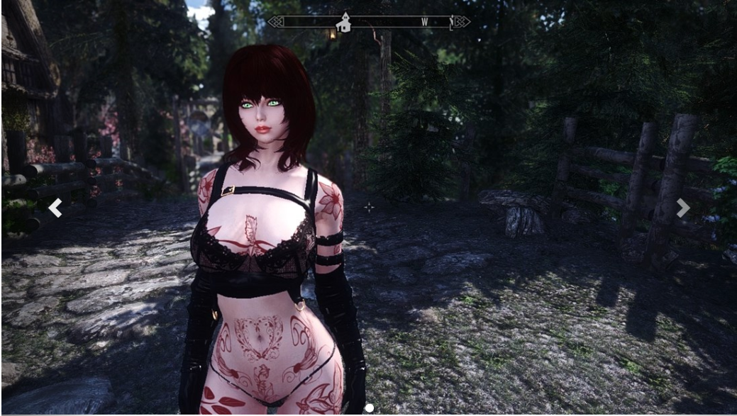 Which Mods Are On This Preset Request And Find Skyrim Adult And Sex