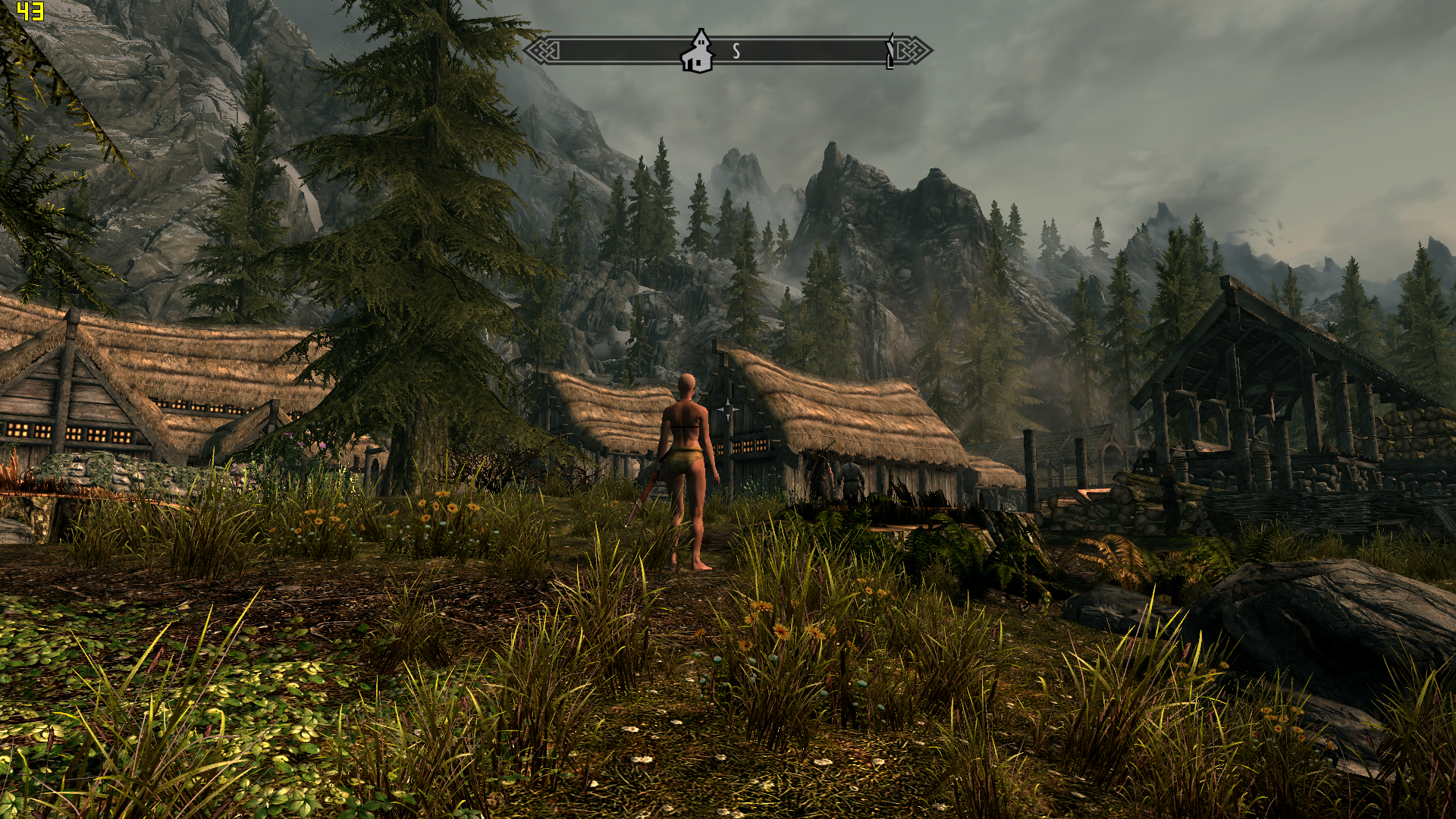 Skyrim se random. Пелагио скайрим. Skyrim 2007. Skyrim: двор Виндпик. Oakwood Skyrim se.