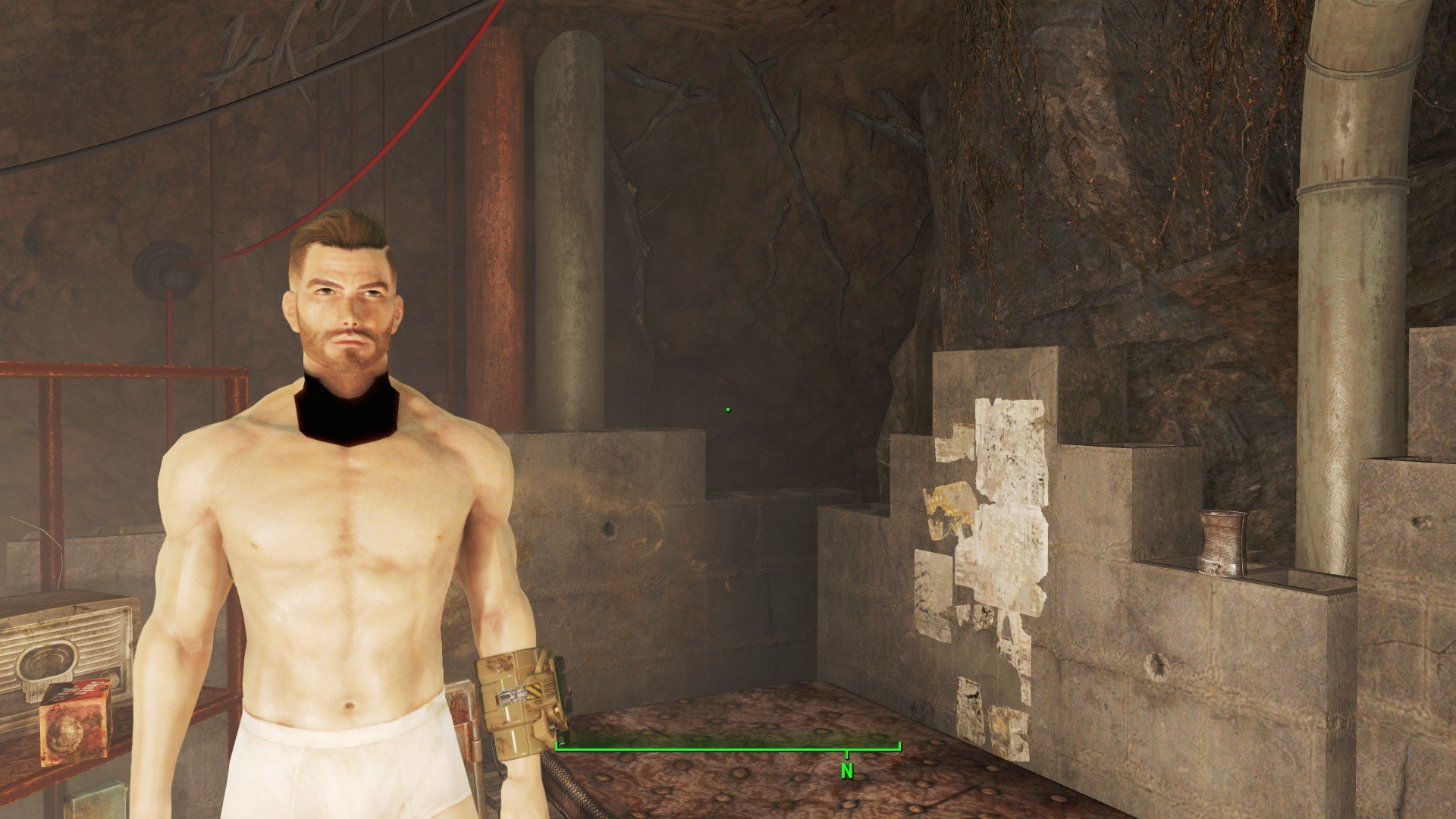 Game Freezes When Removing Clothing Fallout 4 Technical Support