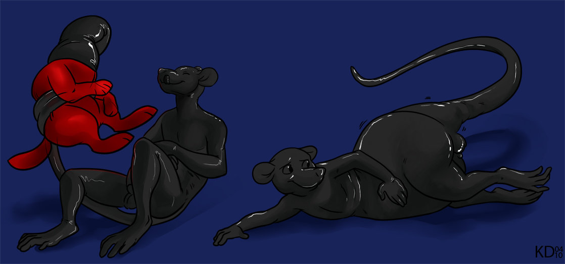 1464697849.balloonpup_20120510185313-7e1b1c75.jpg