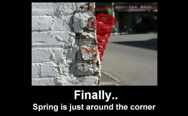 finally-spring-is-just-around-the-corner.jpg.e08a04816d0a30fb1088648cef39f6ba.jpg