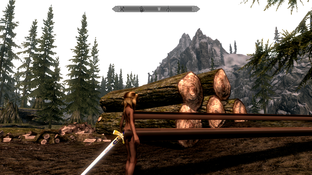 Skyrim race compatibility mod 3241963