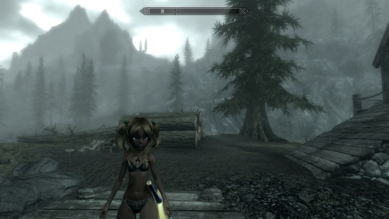 Skyrim