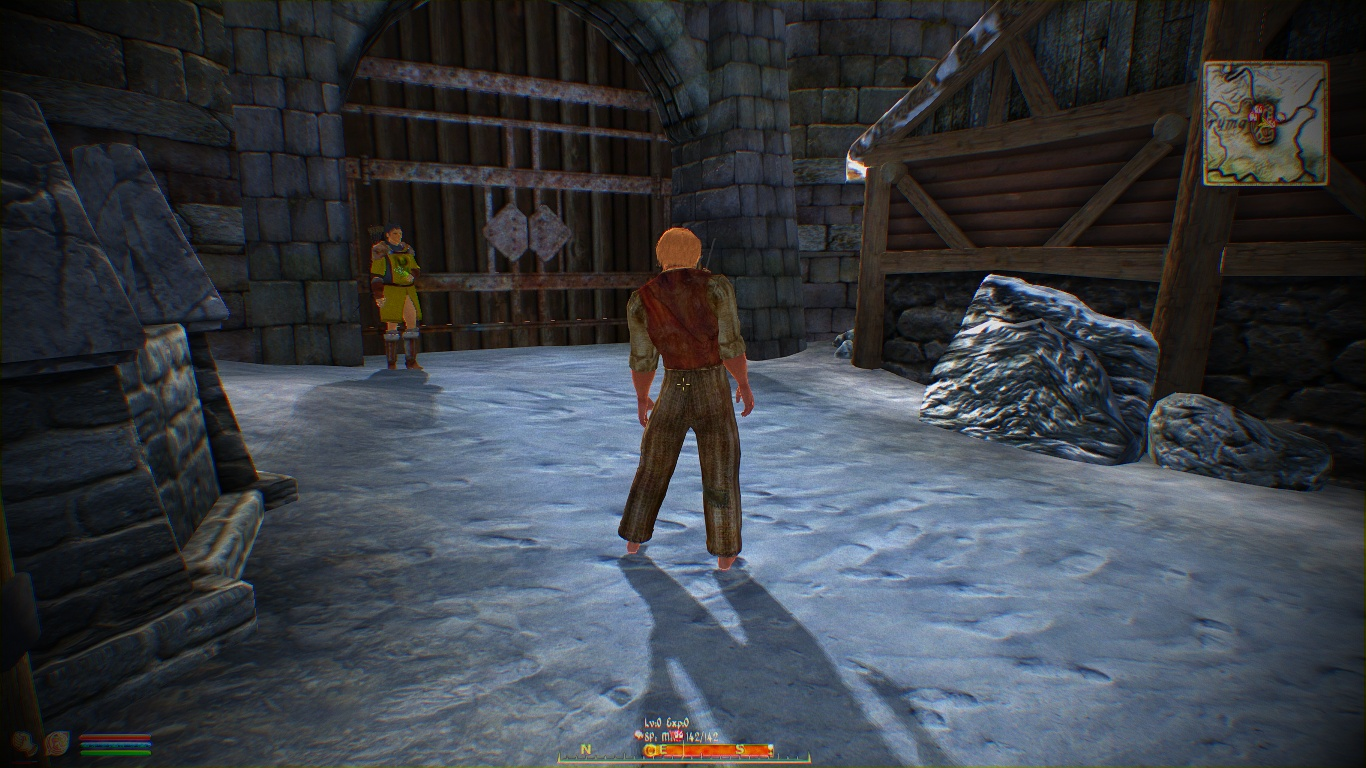 Weird Idle Issue Oblivion Technical Support Loverslab