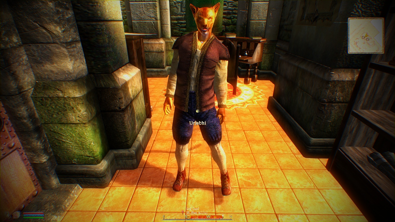 Weird Idle Issue Oblivion Technical Support Loverslab