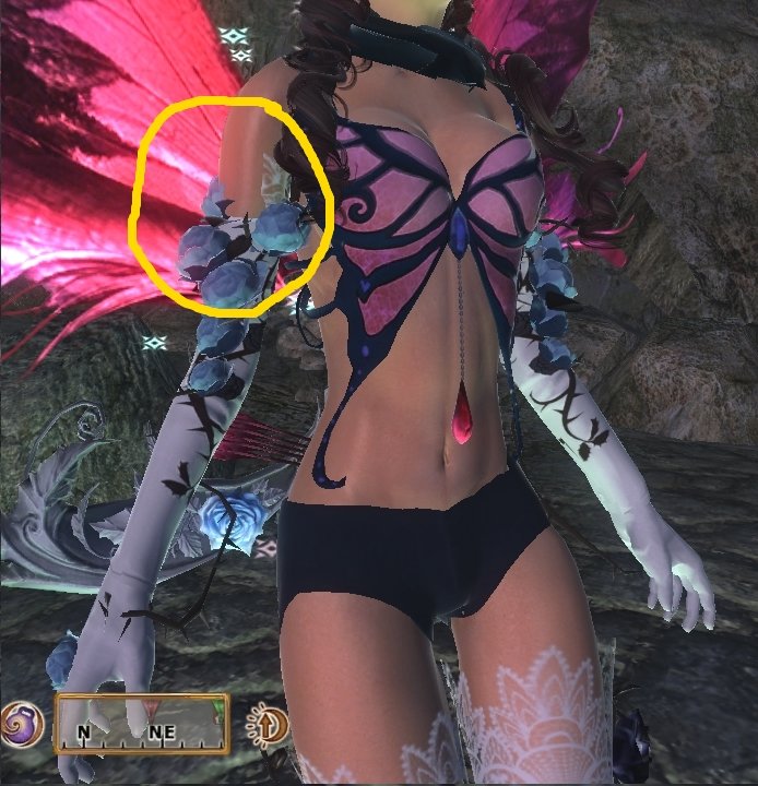 fairy6.jpg