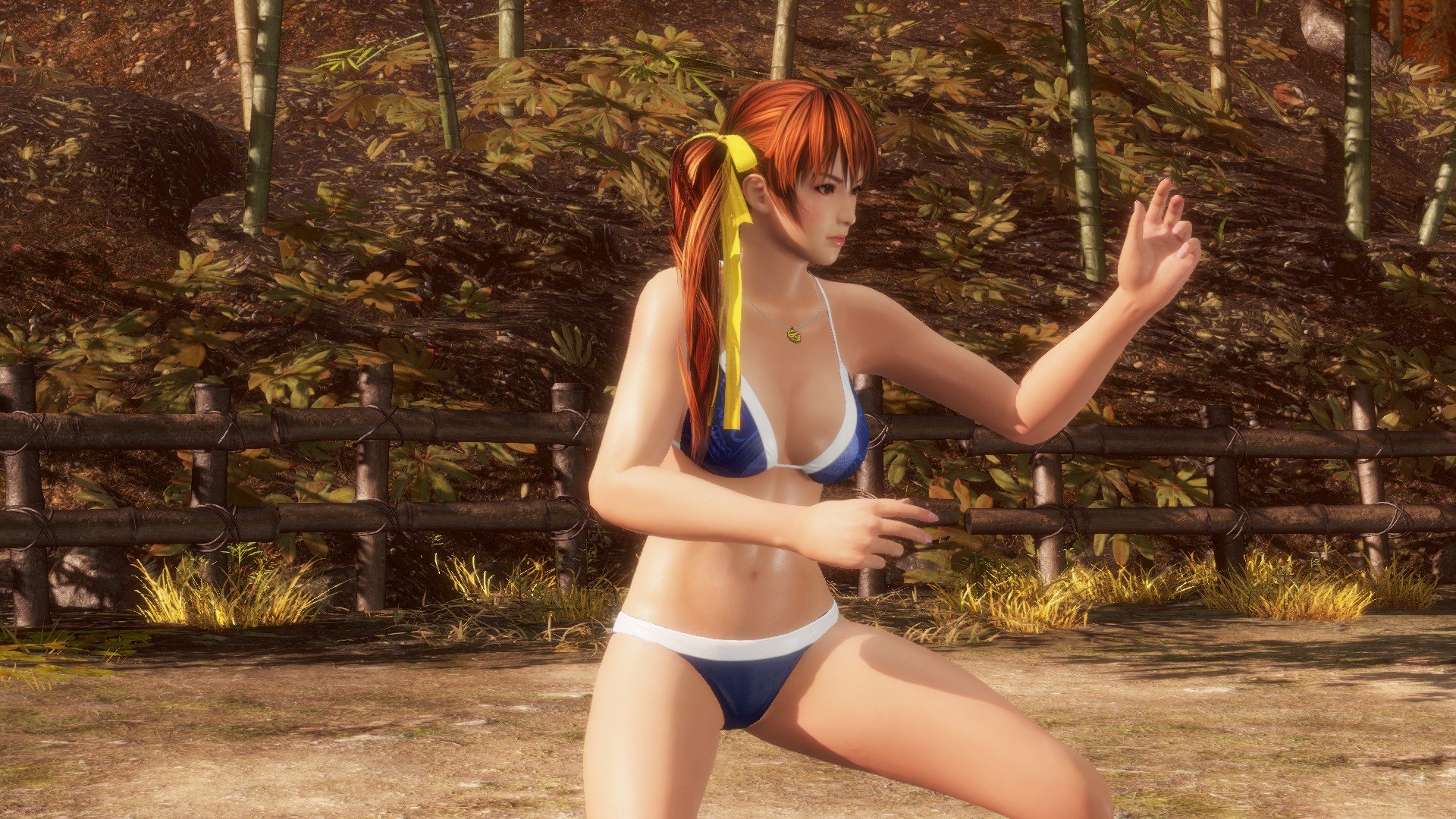 Dead or alive 5 dlc unlocker steam фото 84