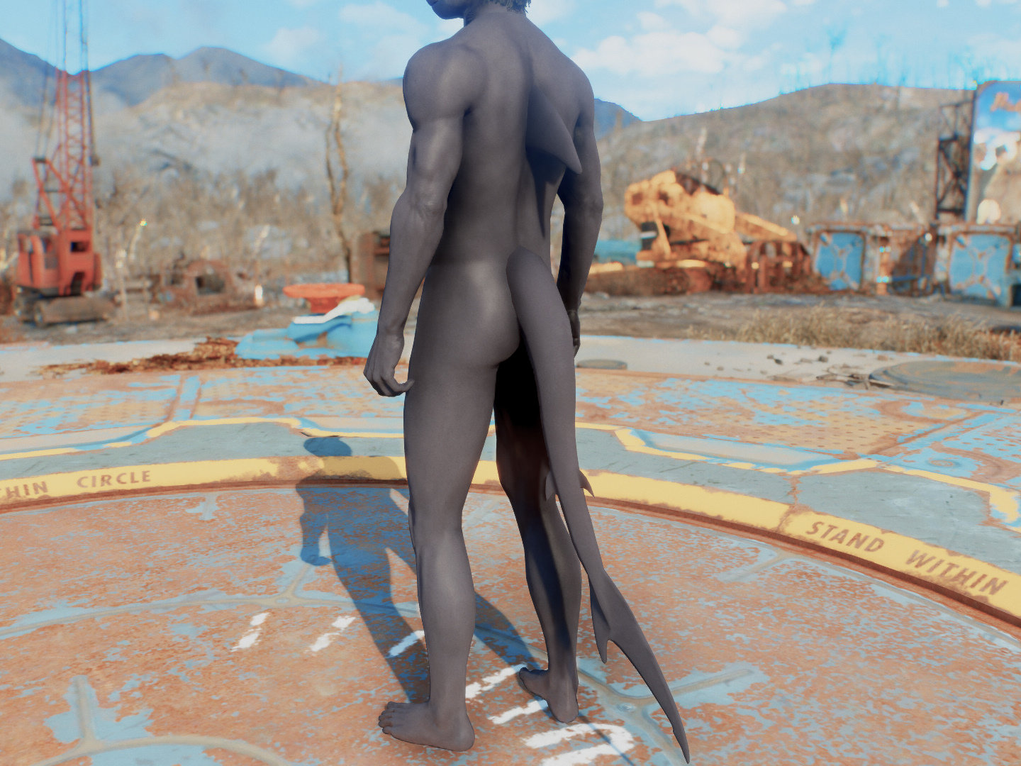 Shark_Male_3.jpg