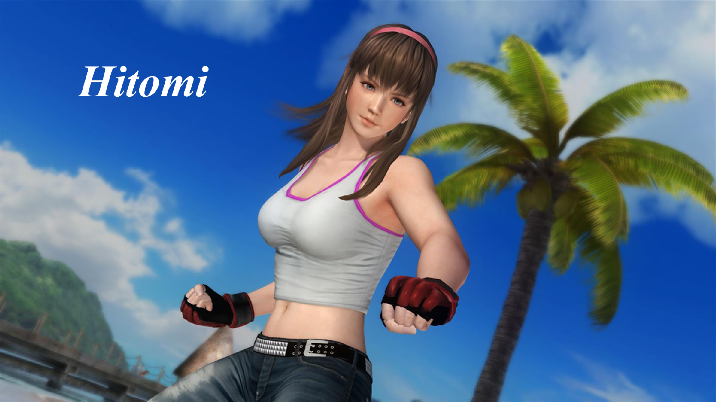 Game girls live. Хитоми Dead or Alive 5. Dead or Alive 6. Хитоми Dead or Alive 6. Dead or Alive 5 Hitomi.